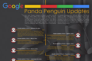 Google: Panda Penguin Updates